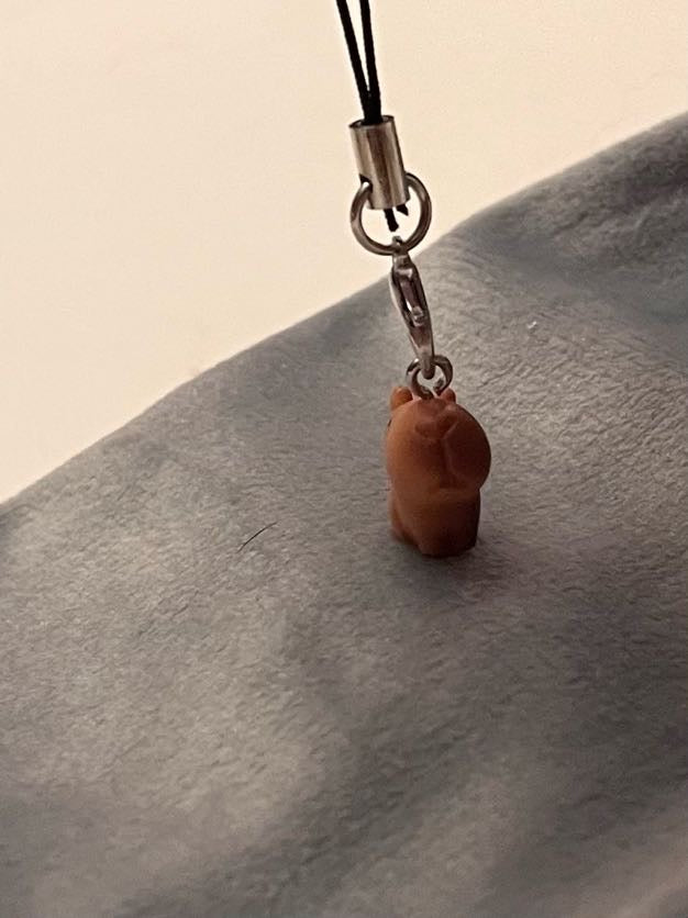 Capybara Phone Strap for Kapybara Lover Gift Kapibara Charm Capybara Keychain