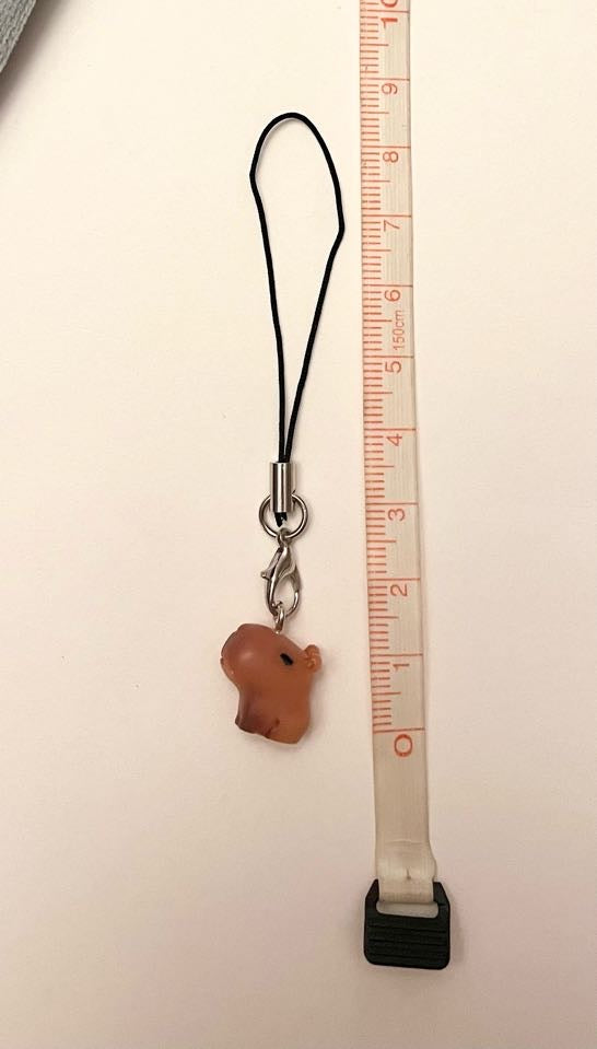 Capybara Phone Strap for Kapybara Lover Gift Kapibara Charm Capybara Keychain