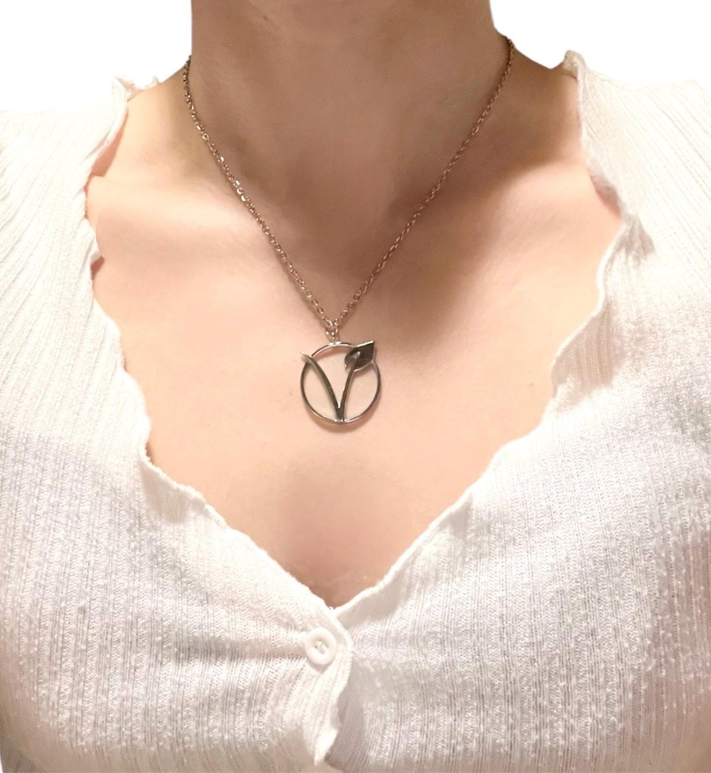 Veganskt halsband silverimitationssmycken för vegansk present växtbaserad etikett vegansk skylt merchandise vegansk