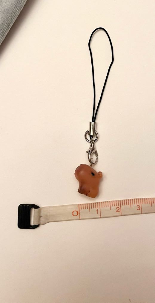 Capybara Phone Strap for Kapybara Lover Gift Kapibara Charm Capybara Keychain
