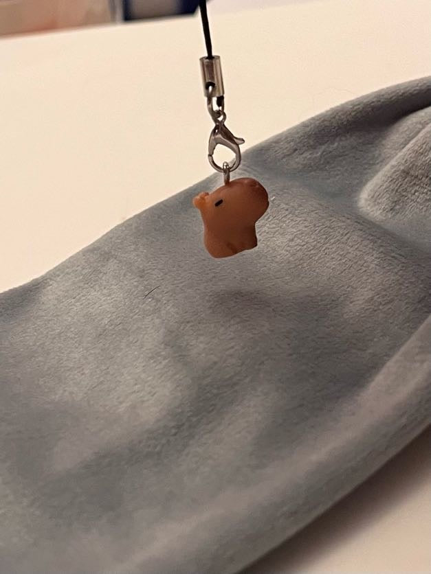 Capybara Phone Strap for Kapybara Lover Gift Kapibara Charm Capybara Keychain