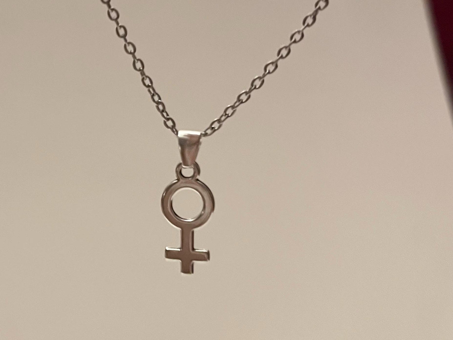 Feminist Necklace Female Symbol Gift for Feminist Minimalistic Jewelry Woman Symbol Necklace Venus Symbol Silver Imitation